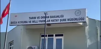 Hatay'da kaçak avcıların ateş açtığı av koruma ve kontrol ekibi görevlisi hayatını kaybetti