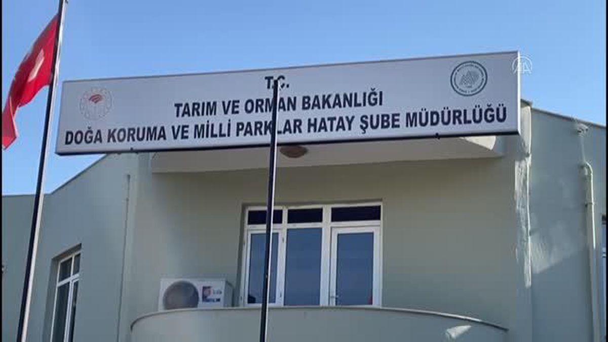 Hatay'da kaçak avcıların ateş açtığı av koruma ve kontrol ekibi görevlisi hayatını kaybetti