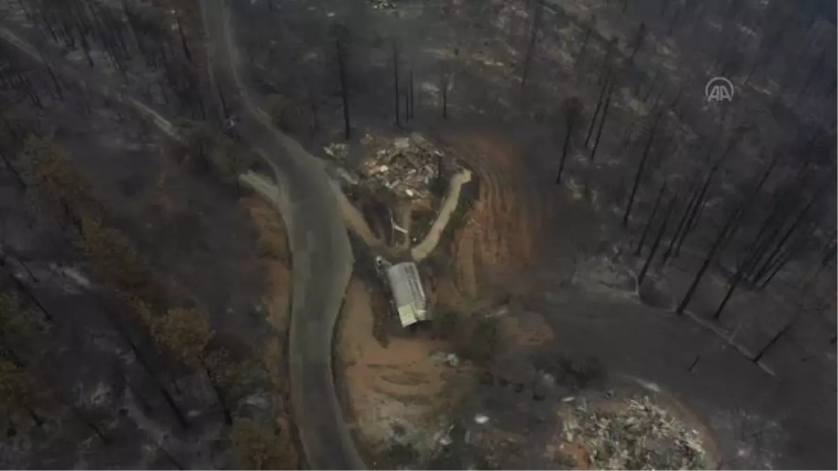 KALİFORNİYA - Kaliforniya'da orman yangınları sürüyor