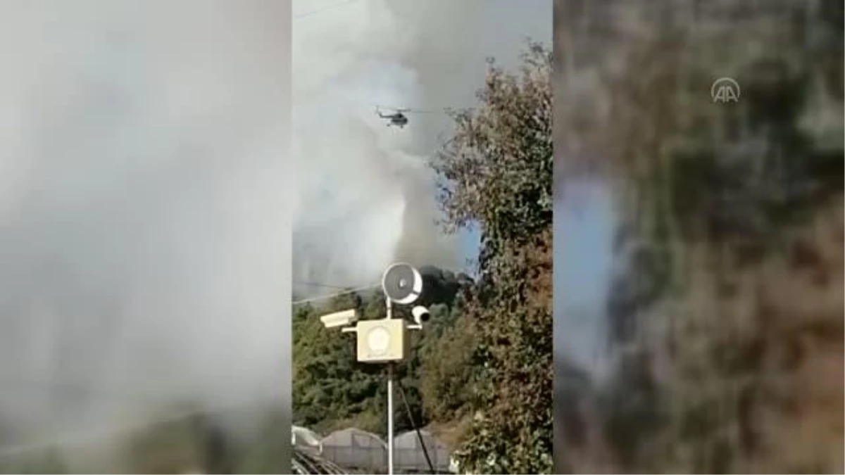 Antalya\'da orman yangını çıktı
