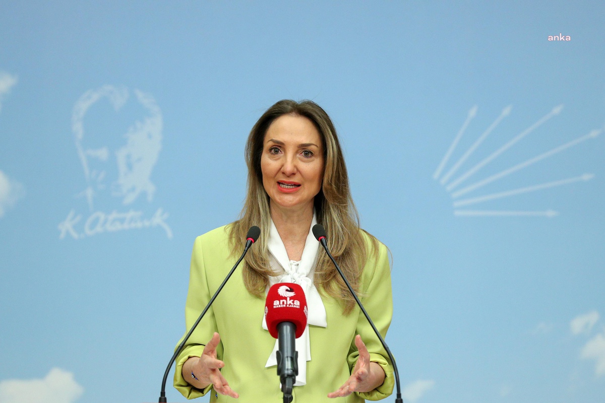 Nazlıaka: CHP İktidarında 4 Milyon Kadına İstihdam Sağlanacak