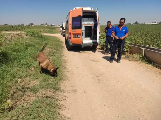 Evinin önünde oynarken kaybolan 4 yaşındaki çocuğun 3 gün sonra cansız bedeni bulundu