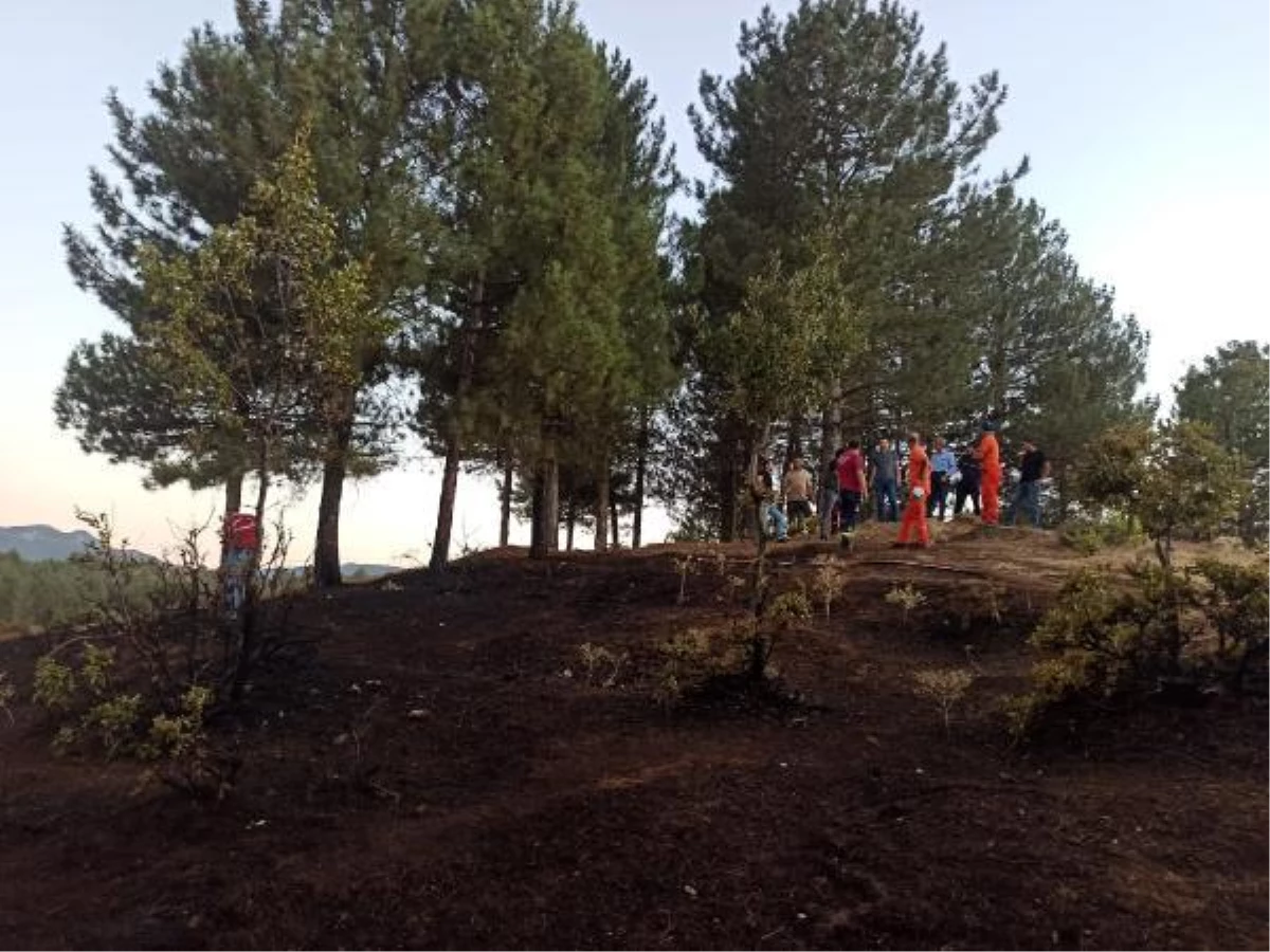 Bingöl haber | Bingöl\'de orman yangını büyümeden kontrol altına alındı
