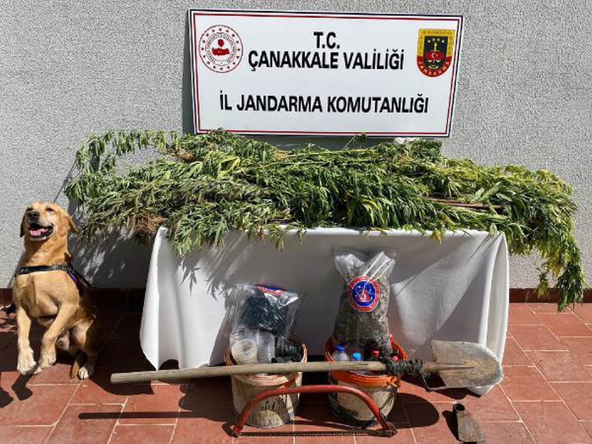 Çanakkale gündem haberleri... Çanakkale\'de uyuşturucu operasyonu: 3 gözaltı