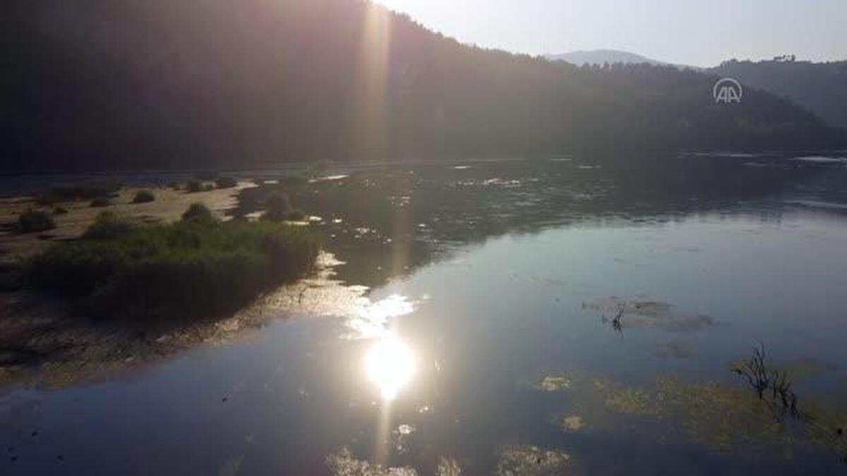 Debisi düşen Ceyhan Nehri yeşilin tonlarına büründü