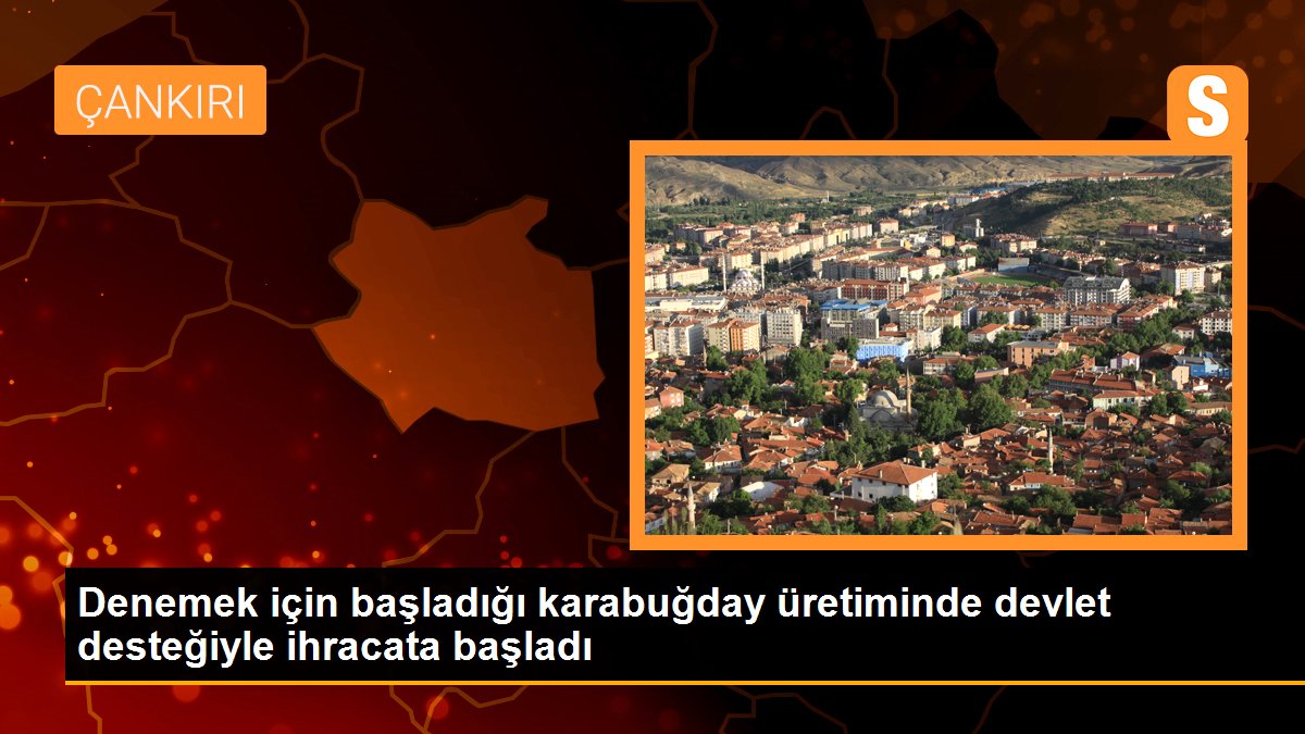 Denemek için başladığı karabuğday üretiminde devlet desteğiyle ihracata başladı