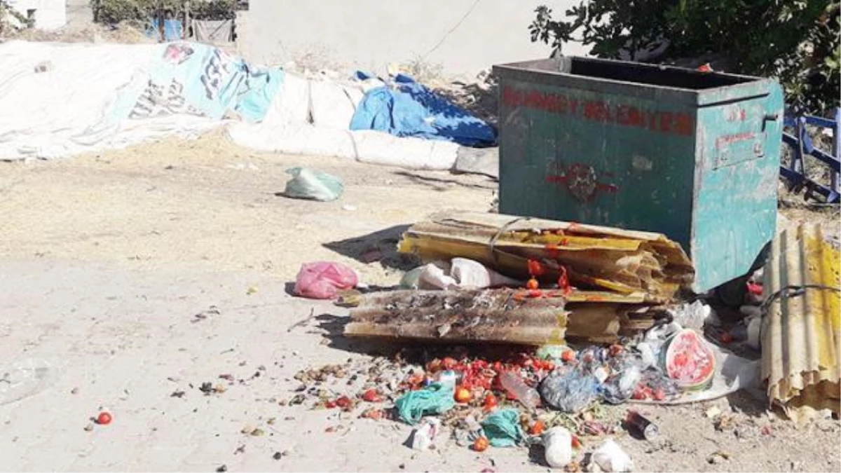Gaziantep\'te kan donduran olay: Çöp konteynerinin yanında 1 haftalık bebeğe ait cansız beden bulundu