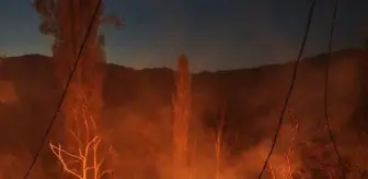 Artvin haberleri | Şavşat'ta 3 ev, 3 ahır ve 4 samanlık yandı, 12 büyükbaş öldü