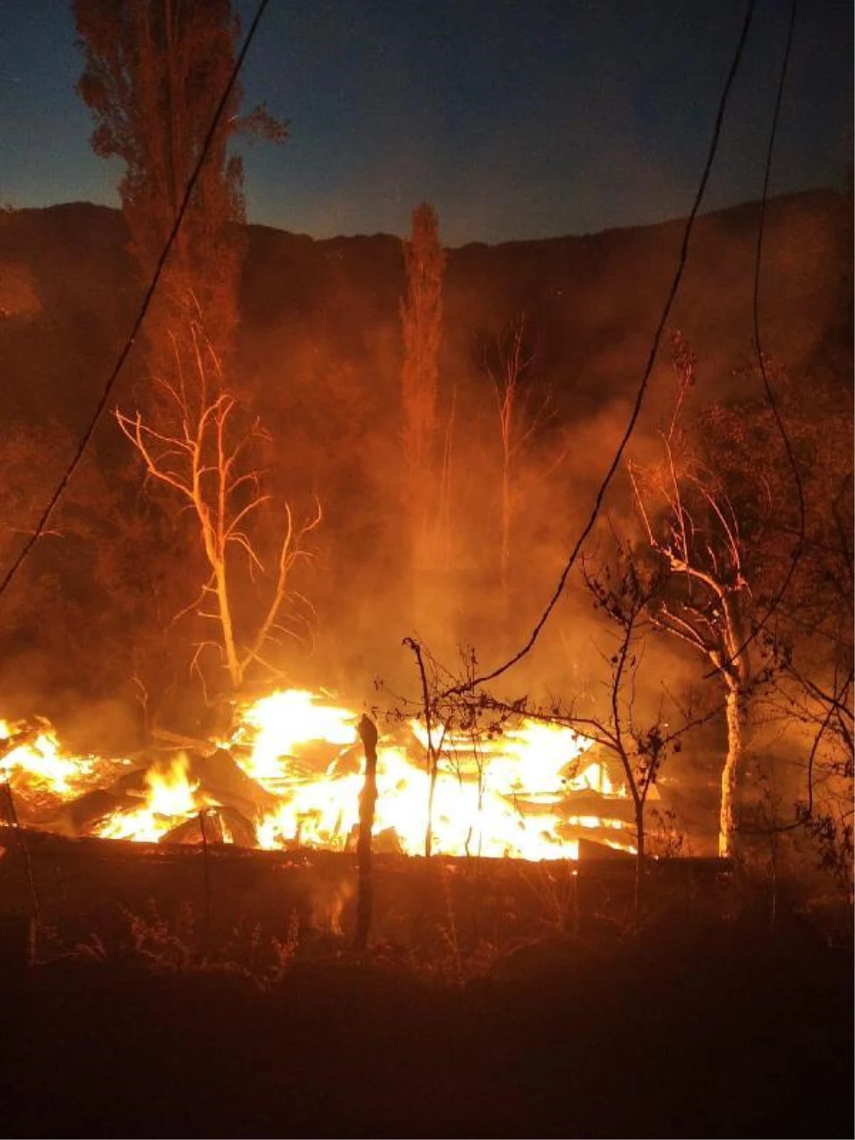 Artvin haberleri | Şavşat\'ta 3 ev, 3 ahır ve 4 samanlık yandı, 12 büyükbaş öldü