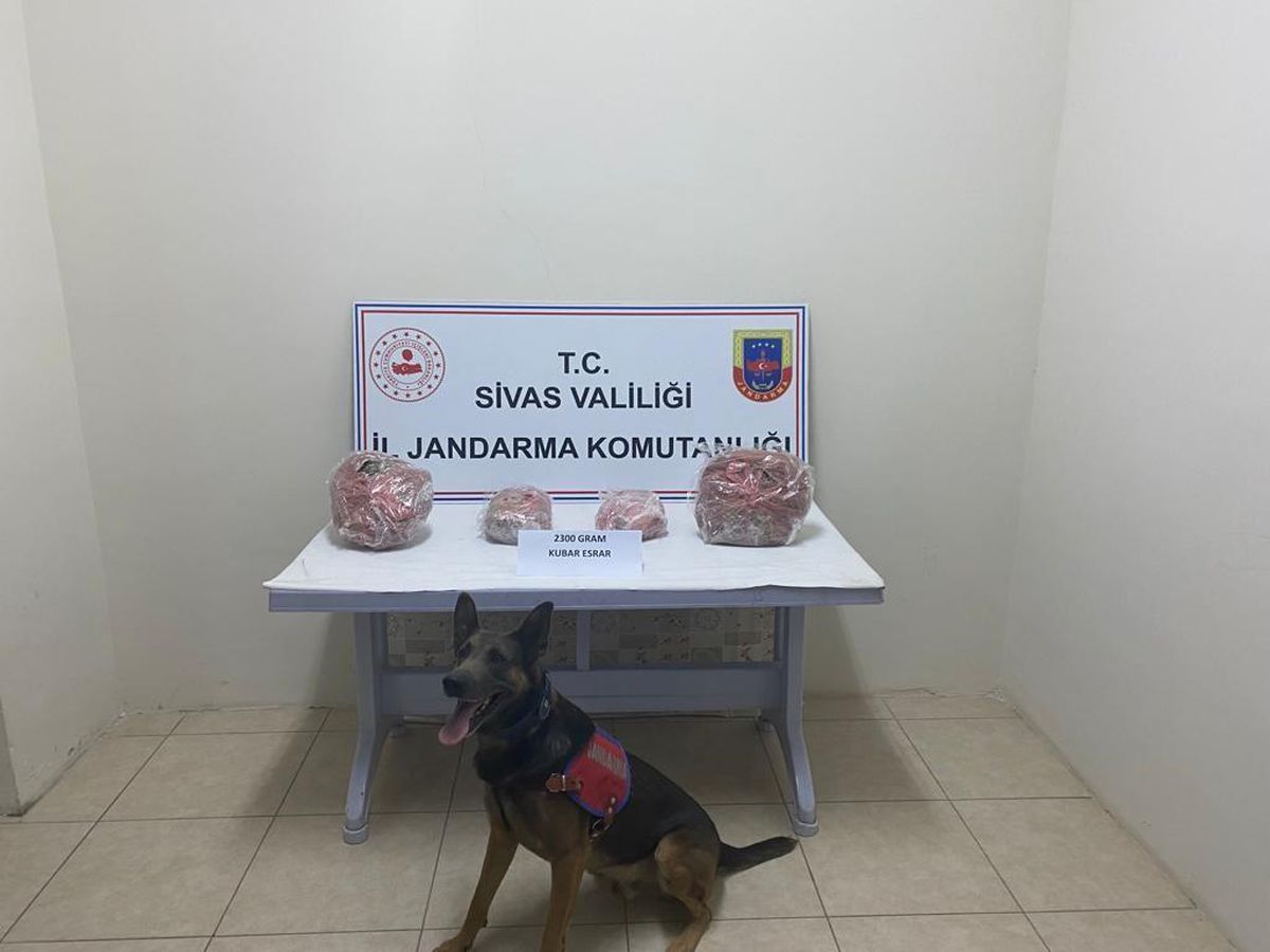Sivas\'ta uyuşturucu operasyonunda 2 şüpheli gözaltına alındı