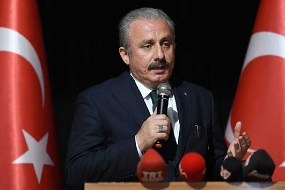 Şentop: "Bütün Darbe ve Darbe Girişimlerini Bir Kez Daha Lanetliyoruz"