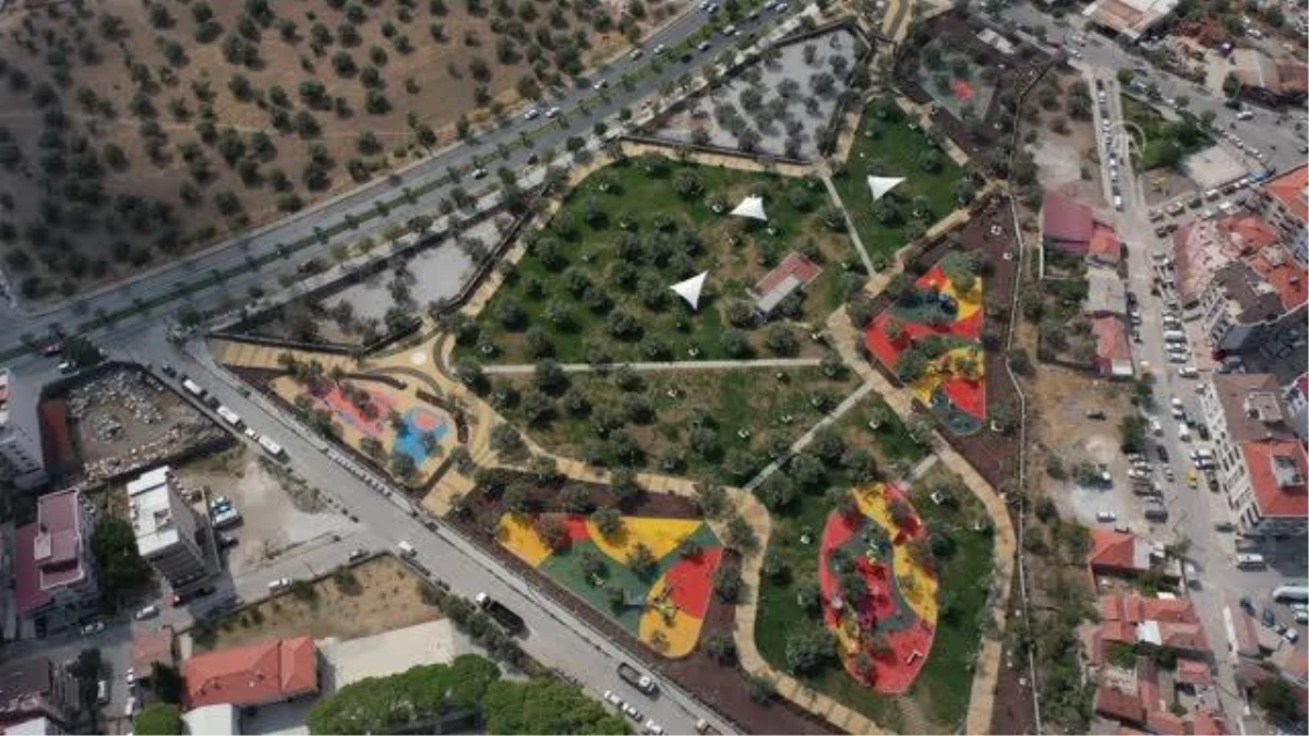 Asırlık zeytin ağaçları "Zeytinpark"la korunacak