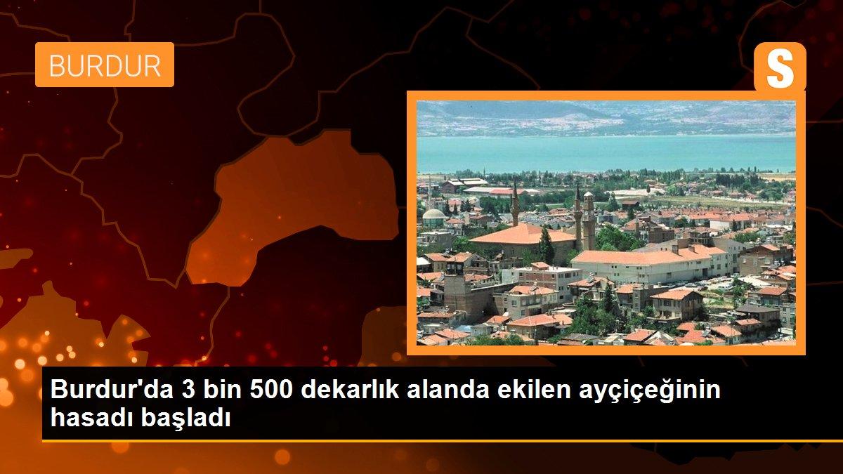 Burdur\'da 3 bin 500 dekarlık alanda ekilen ayçiçeğinin hasadı başladı