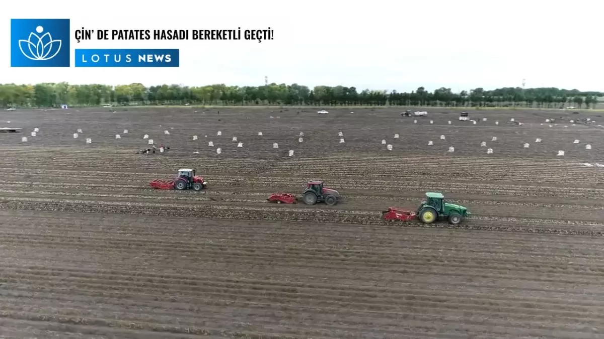 Video: Çin\'in Kuzeydoğusundaki Heilongjiang Eyaletinde Patates Hasadı Bereketli Geçti