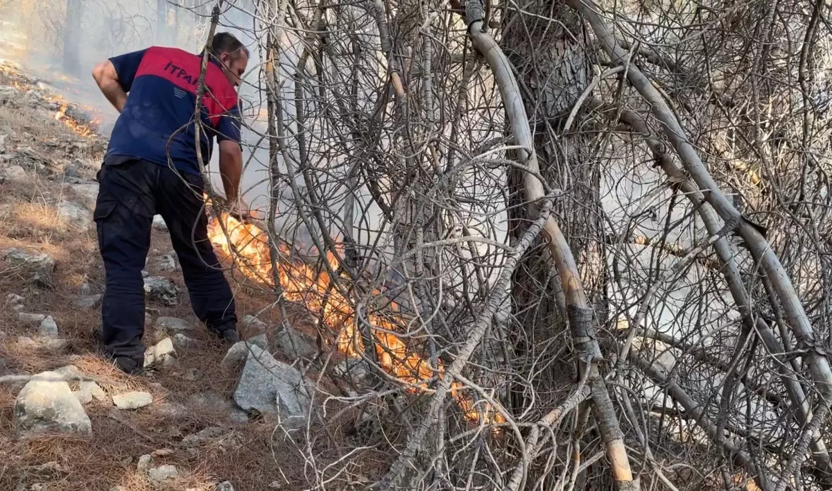 Adıyaman\'da çıkan orman yangınına müdahale ediliyor