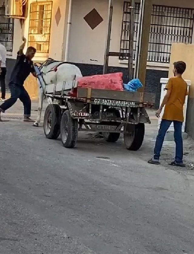 İlermeyen atı yumruklayan zalim seyyar satıcı gözaltında