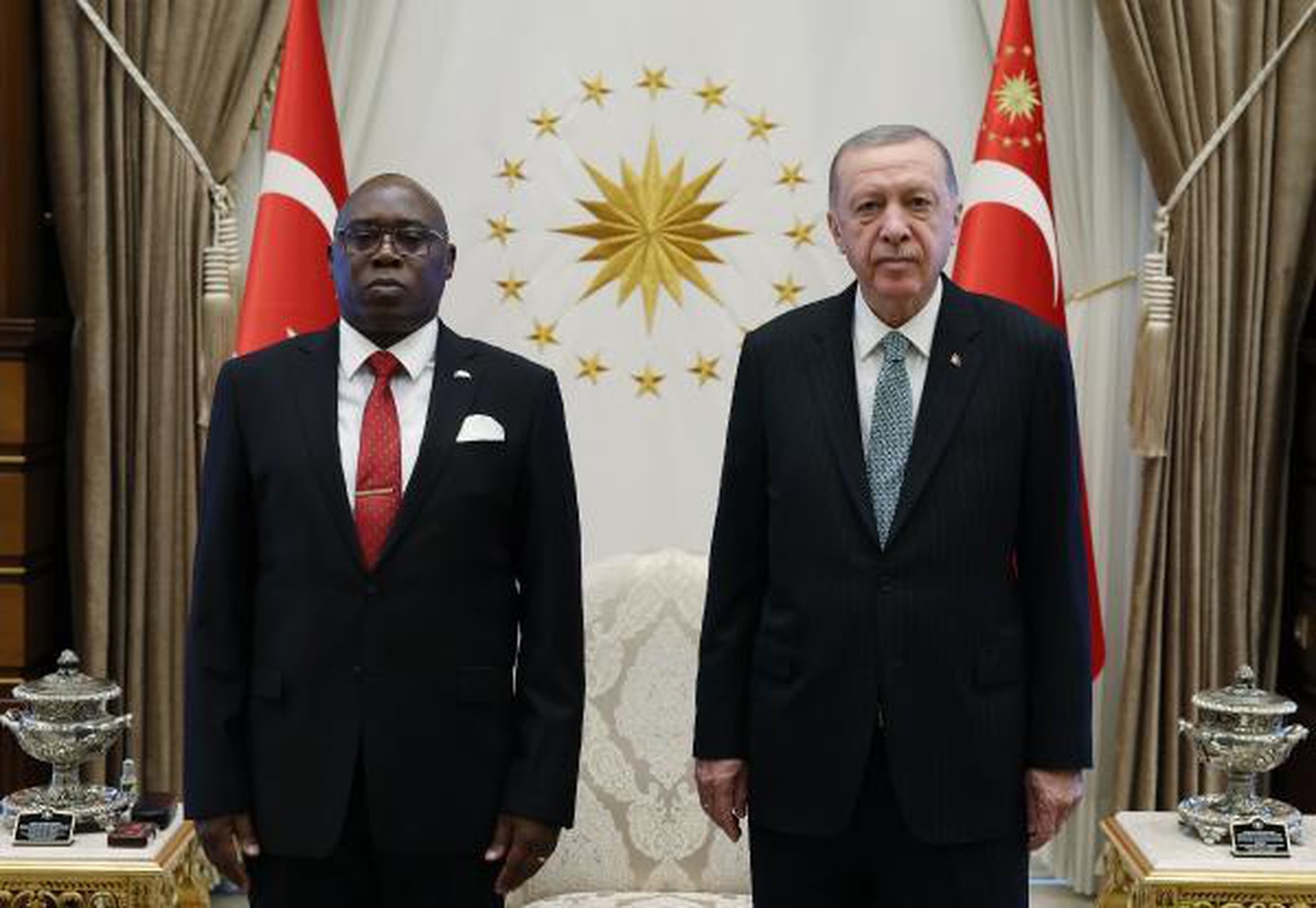 Büyükelçilerden Cumhurbaşkanı Erdoğan\'a güven mektubu