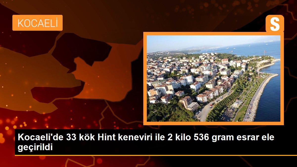 Kocaeli\'de 33 kök Hint keneviri ile 2 kilo 536 gram esrar ele geçirildi