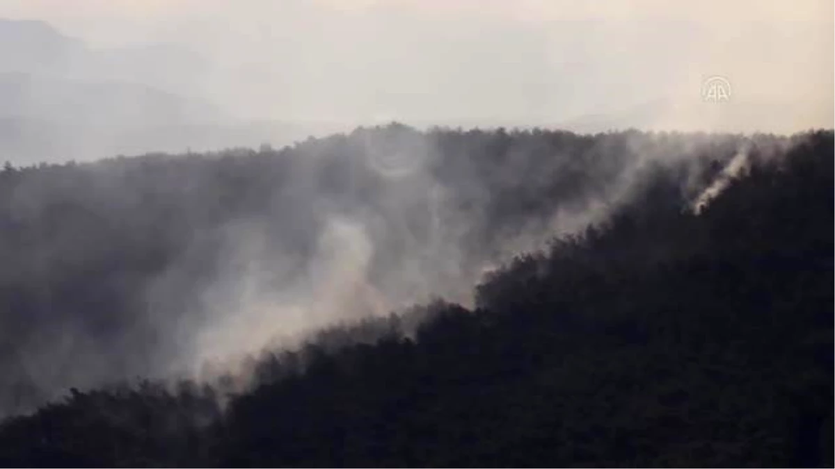 Muğla\'daki orman yangını kontrol altına alındı