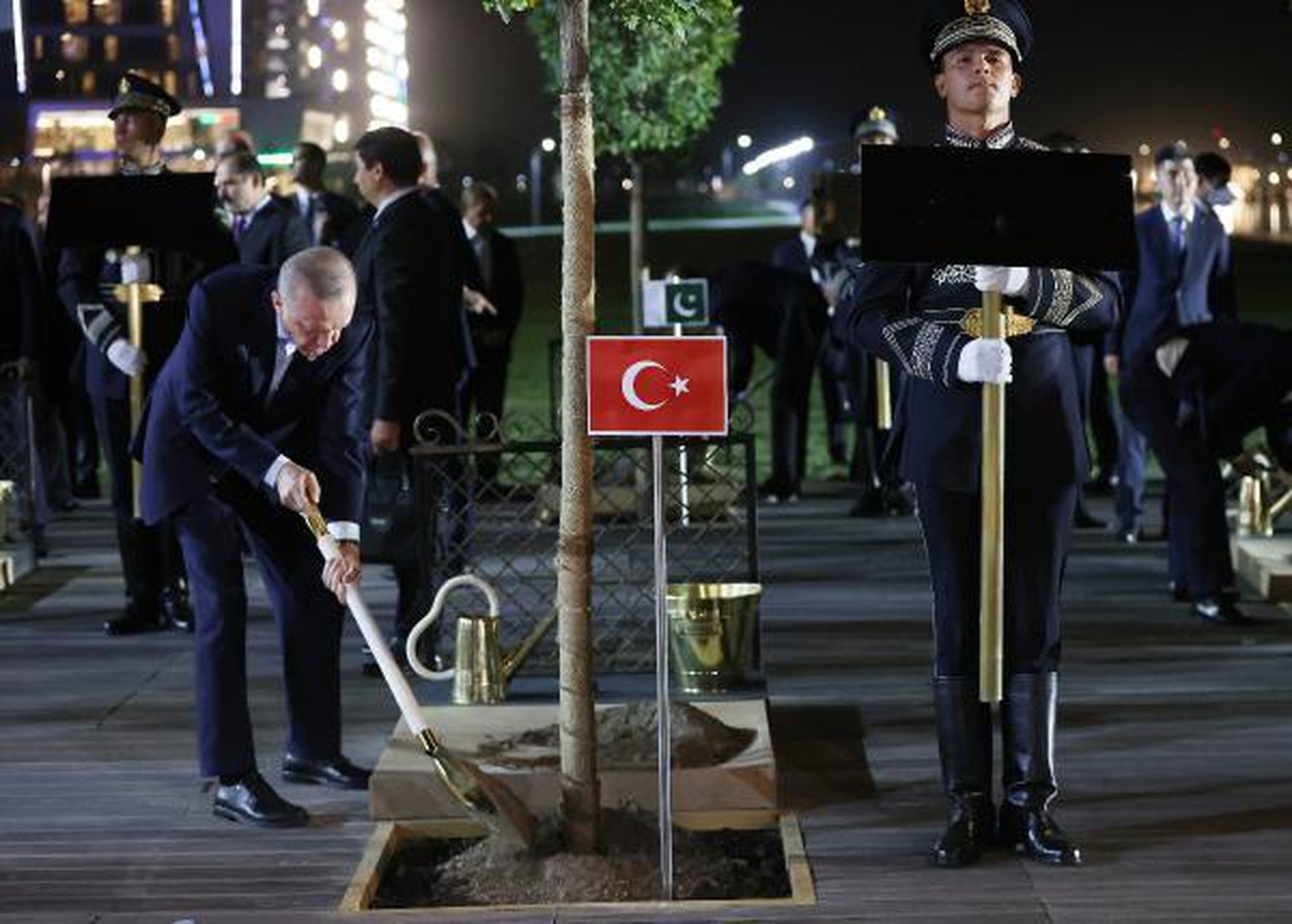 Cumhurbaşkanı Erdoğan, ağaç dikim törenine katıldı