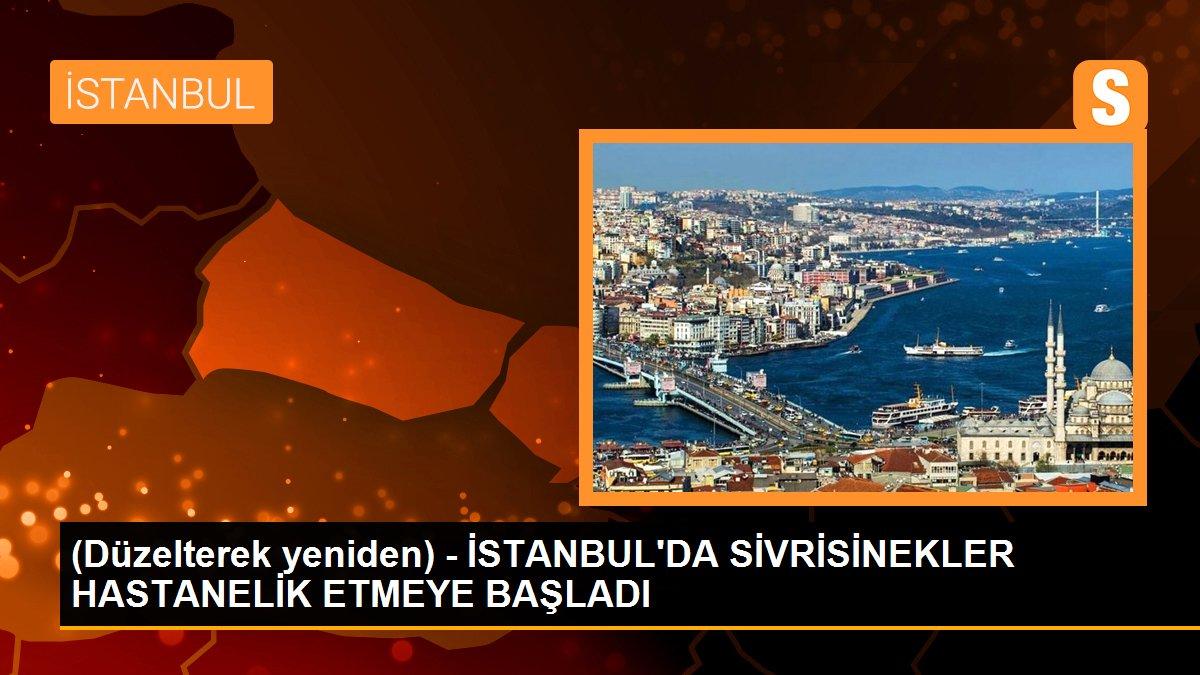 (Düzelterek yeniden) - İSTANBUL\'DA SİVRİSİNEKLER HASTANELİK ETMEYE BAŞLADI