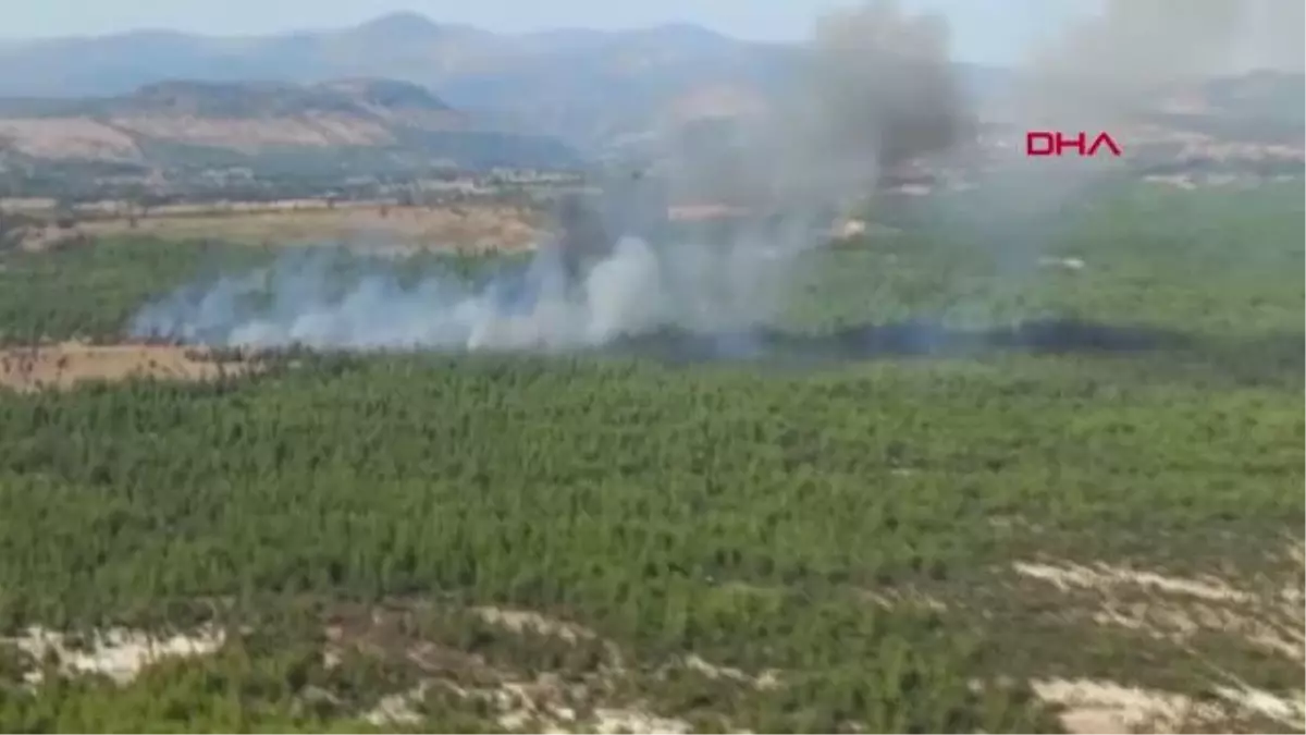 Manisa\'da çıkan orman yangınına müdahale ediliyor