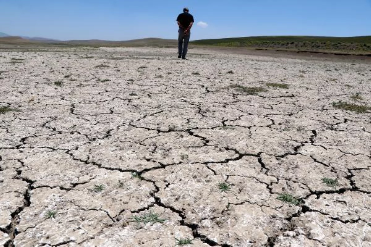 Van haber! Prof. Dr. Alaeddinoğlu: Van Gölü havzası küresel iklim değişikliğinden daha çok etkilenecek
