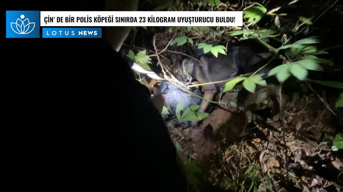 Video: Çin\'de Bir Polis Köpeği Sınırda 23 Kilogram Uyuşturucu Buldu