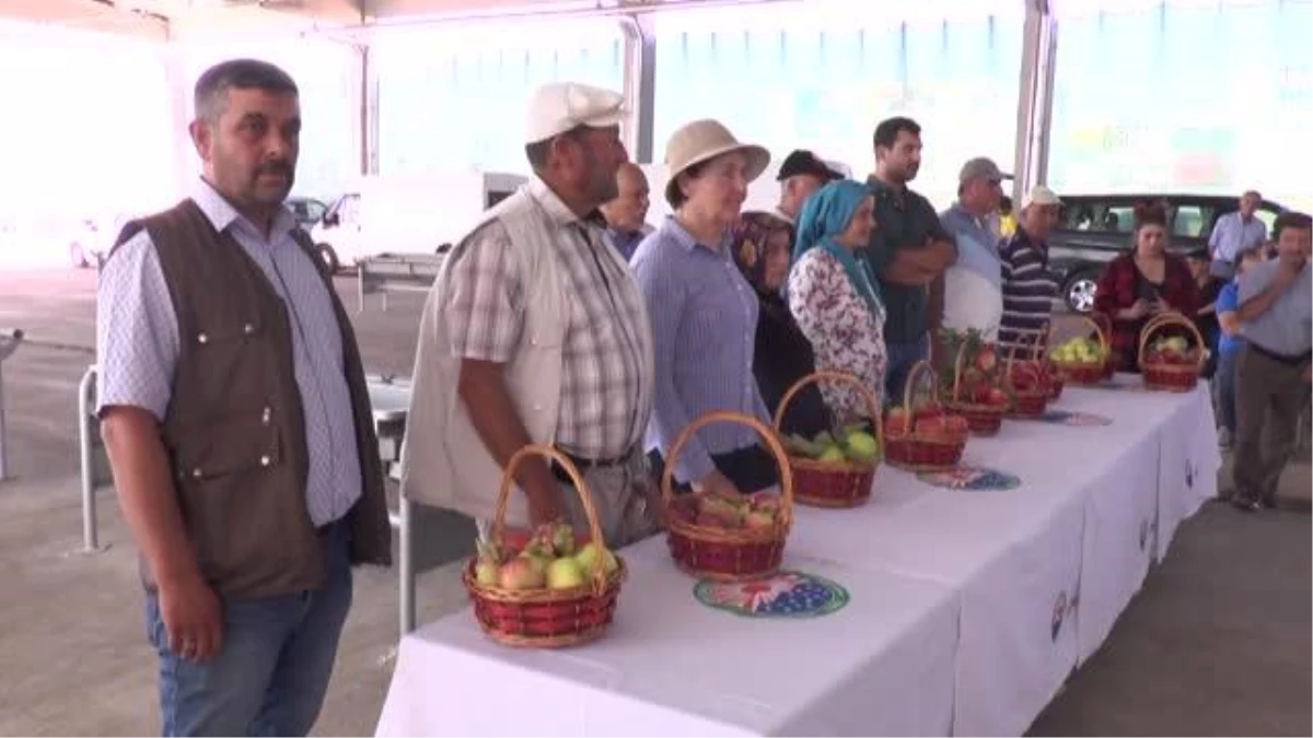 Gölbaşı\'nda elma ve domates yetiştiriciliği yarışması düzenlendi