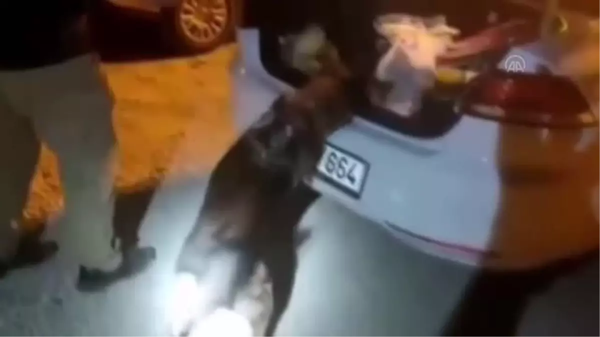 Hatay'da otomobilde 32 bin 700 uyuşturucu hap ele geçirildi