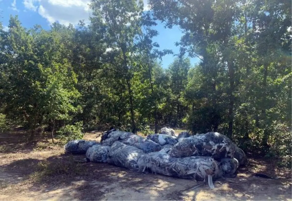 Tekirdağ haber: Tekirdağ'da ormana atık bırakanlara 490 bin TL ceza