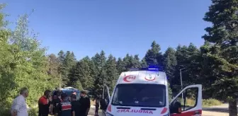 Uludağ'da mantar toplarken kaybolan 2 kişi bulundu