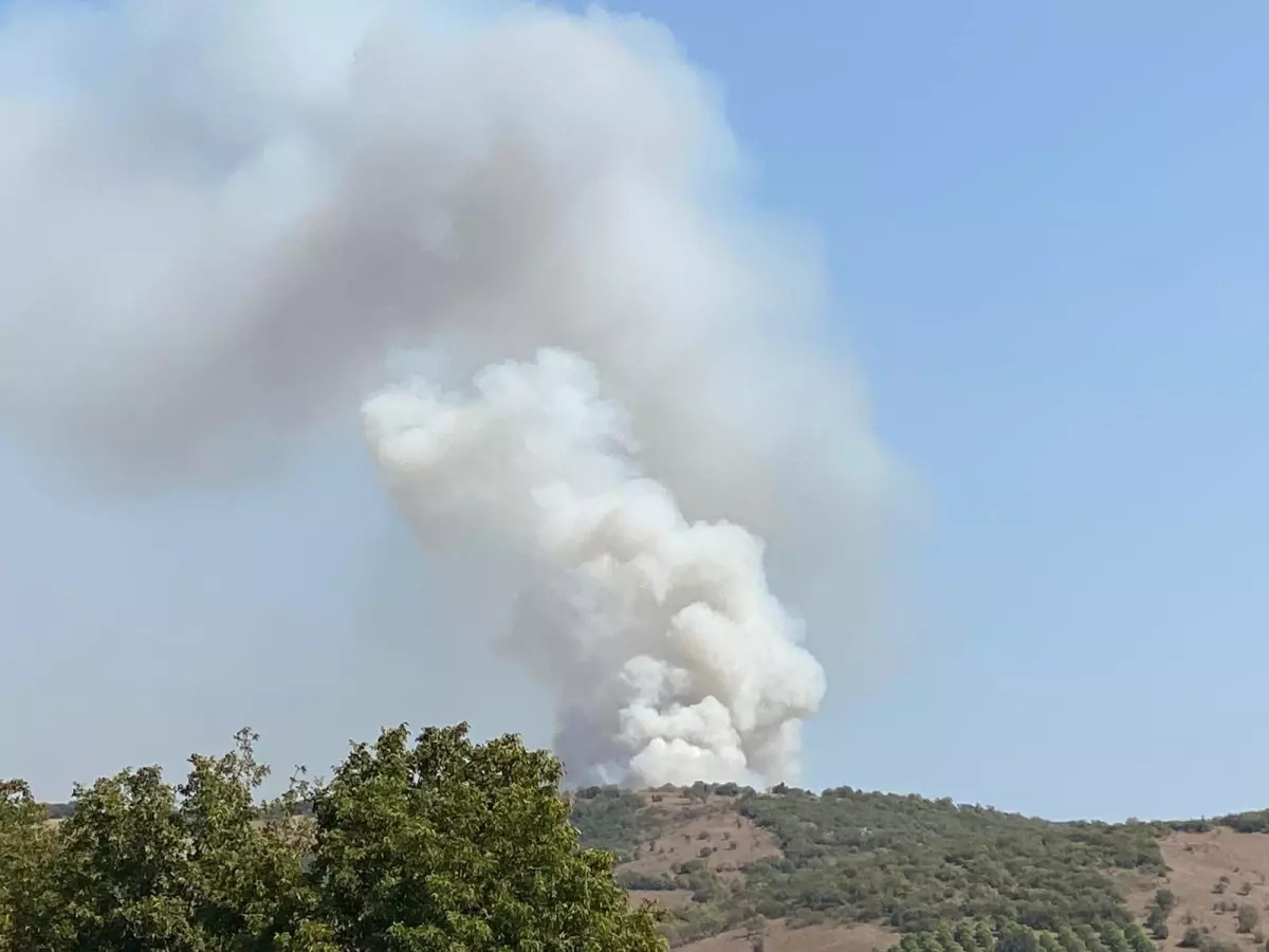 Balıkesir'de çıkan orman yangınına müdahale ediliyor