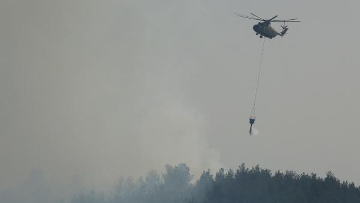 Balıkesir haberleri... Balıkesir'de orman yangını (2)