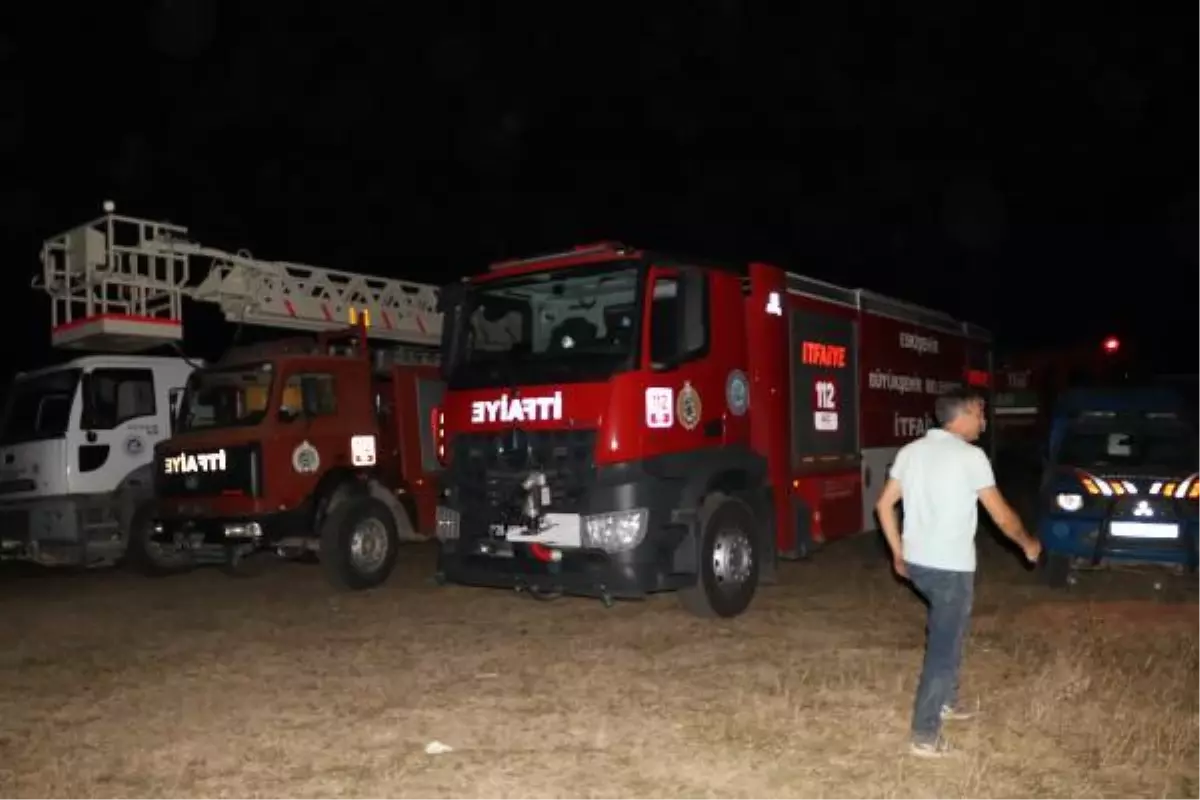 Son dakika haberi! Eskişehir'de orman yangını (2)