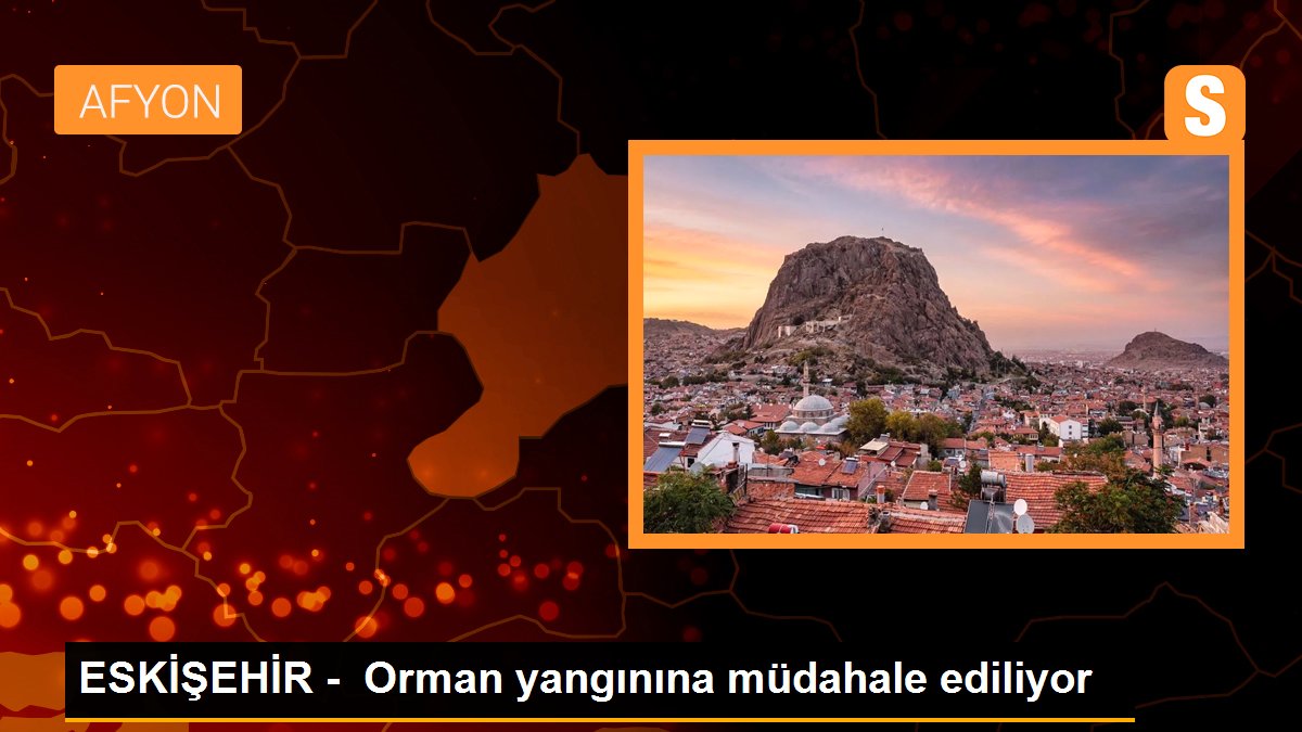 ESKİŞEHİR - Çıkan orman yangınına müdahale ediliyor