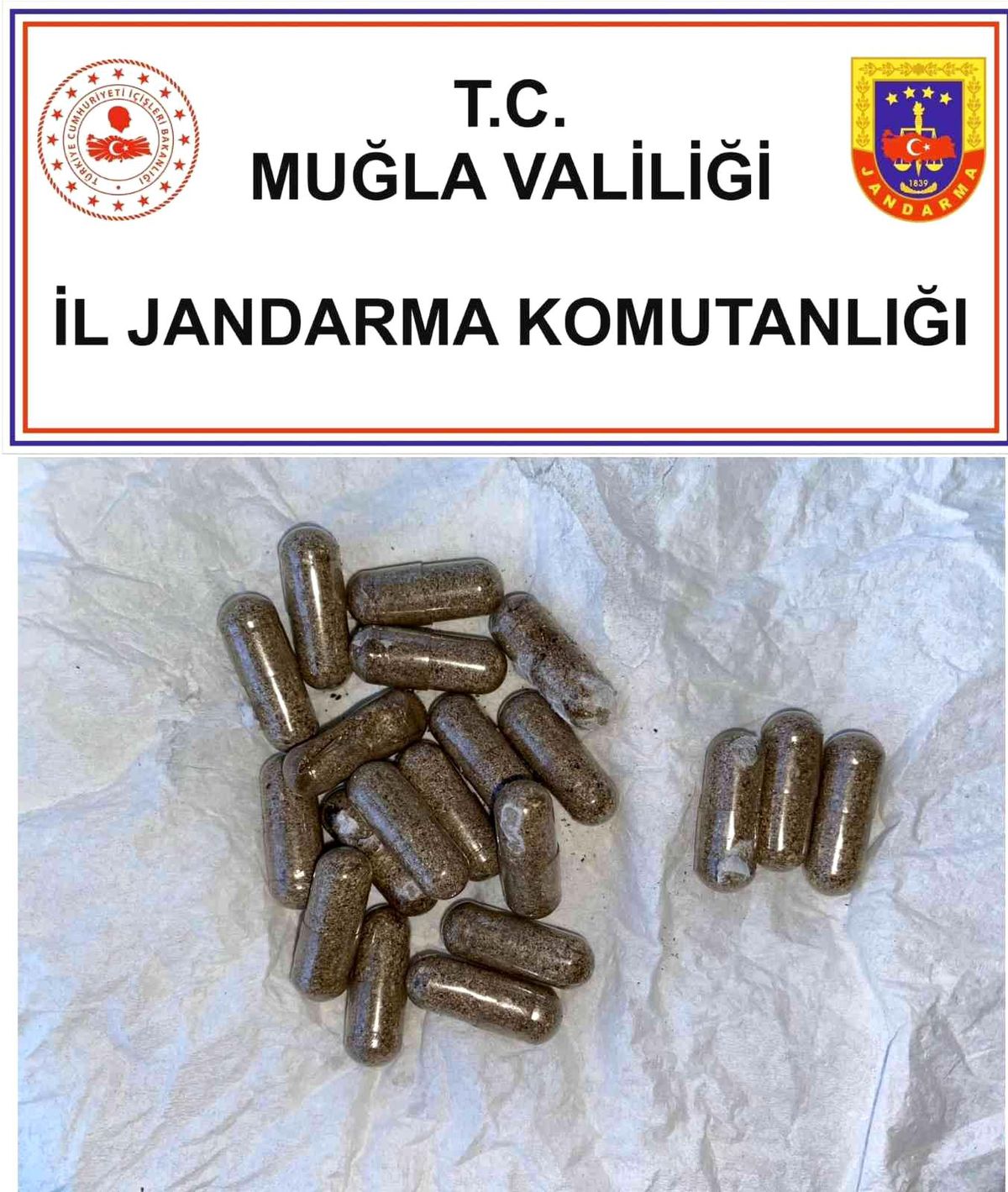Muğla\'da uyuşturucu operasyonunda bir şüpheli yakalandı