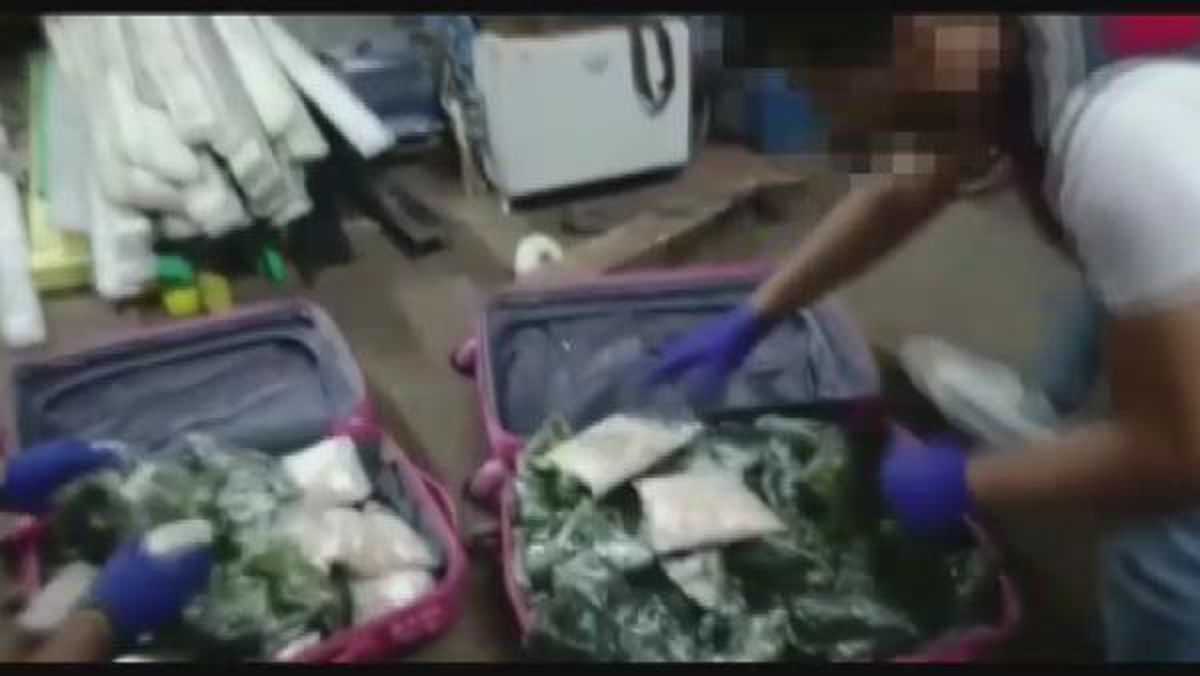 Son dakika haber... İstanbul\'da jandarma operasyonunda 300 bin uyuşturucu hap ele geçirildi
