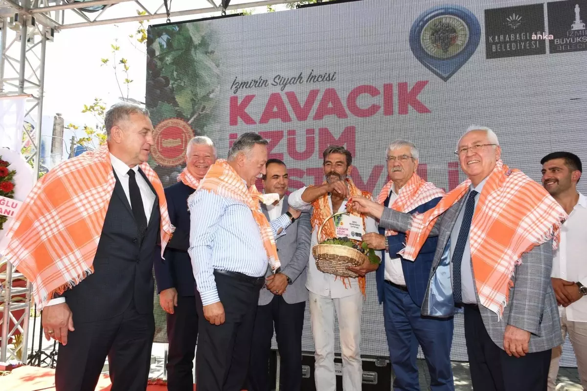 Kavacık\'ta 10. Üzüm Festivali Coşkusu Başladı