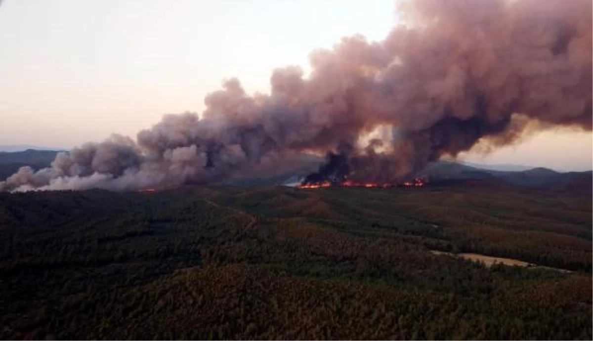 Muğla gündem haberi: Marmaris\'te 4 bin 392 hektar küle dönmüştü; sanık kardeşine ormanı yakacağını söylemiş