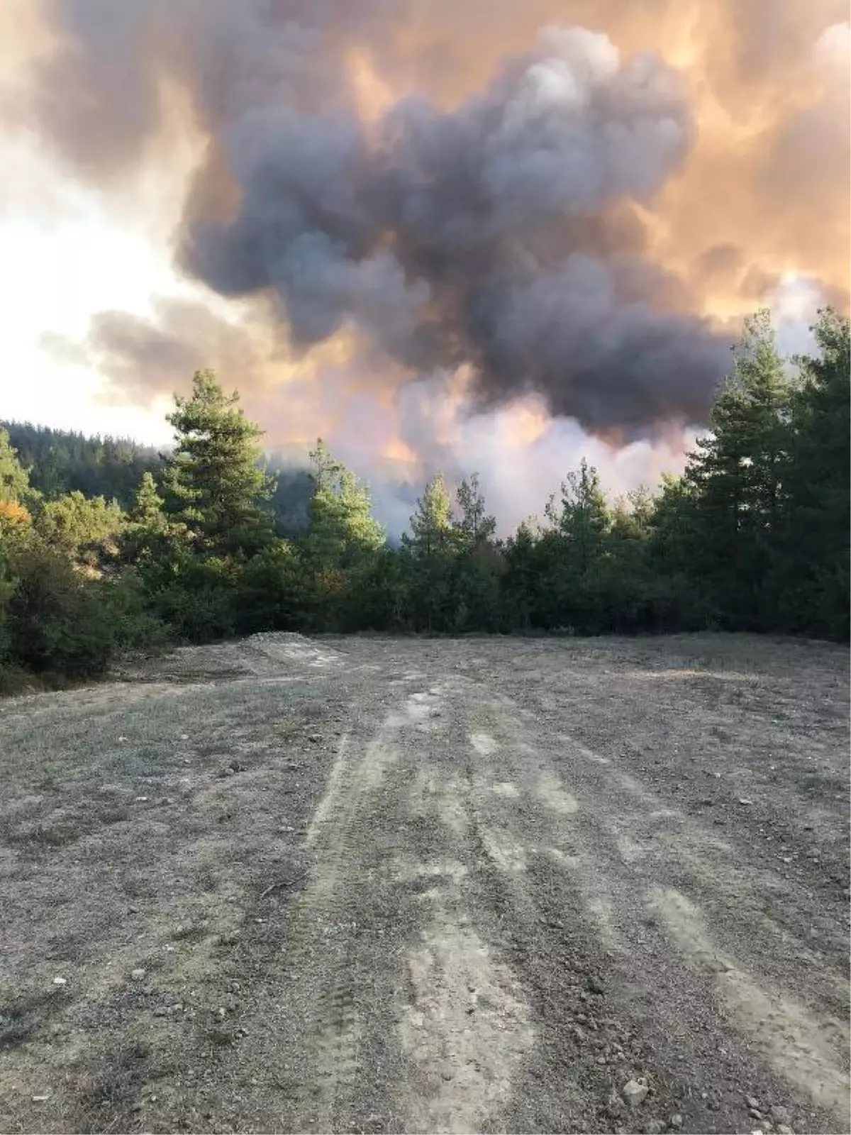 Bursa haberleri... Orhaneli'de orman yangını