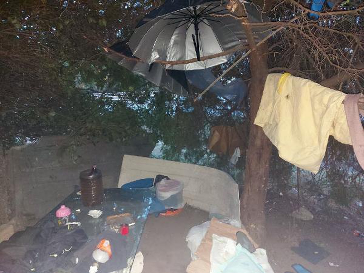 Son dakika haberi... Ormanda uyuşturucularla yakalanıp, gözaltına alındı