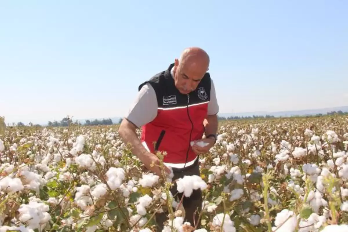 Bakan Kirişci: Dekar başına 76 lira olan desteği, 271 liraya yükselttik