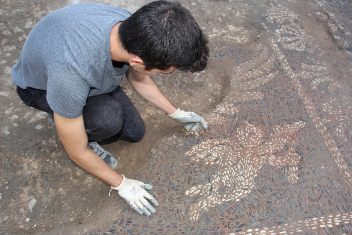 Balatlar Yapı Topluluğu\'nda Helenistik Döneme ait yeni mozaiklere ulaşıldı
