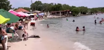 HİGUEROTE - Venezuela'da gönüllüler Uluslararası Kıyı Temizliği Günü etkinliğine katıldı