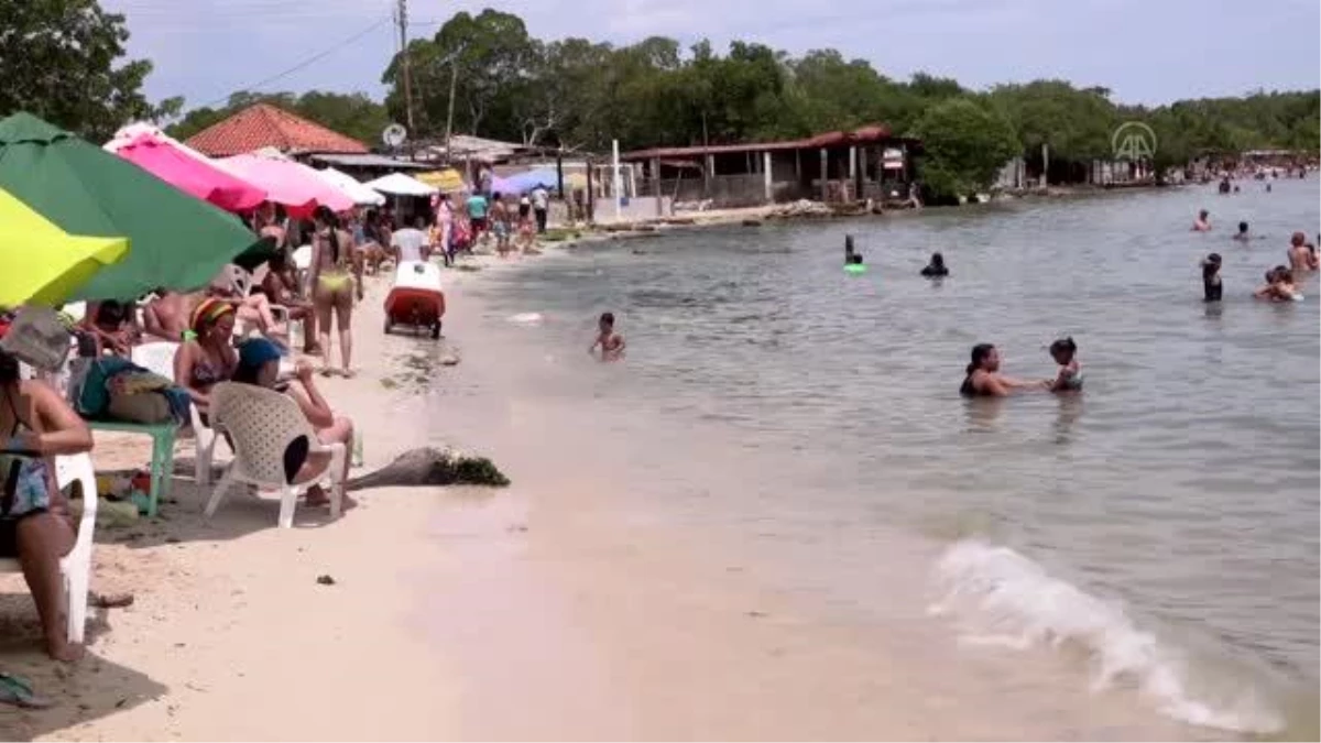 HİGUEROTE - Venezuela'da gönüllüler Uluslararası Kıyı Temizliği Günü etkinliğine katıldı