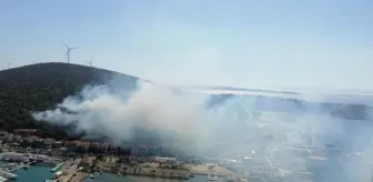 İzmir gündem haberleri: İzmir'de orman yangını (1)
