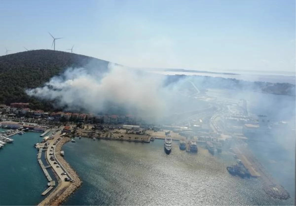 İzmir gündem haberleri: İzmir\'de orman yangını (1)