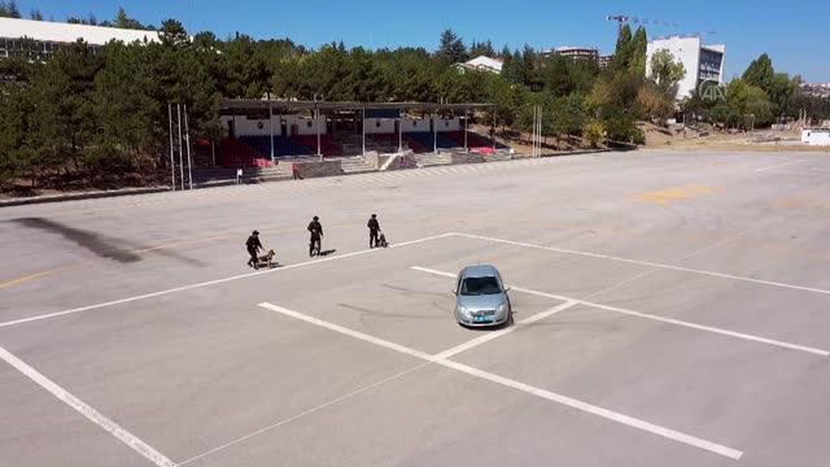 Jandarma köpeğinin 'gözünden' rehine kurtarma operasyonu