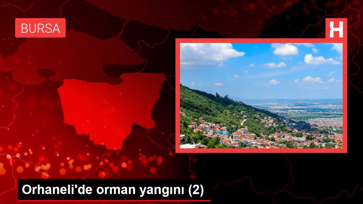 Bursa haberleri! Orhaneli'de orman yangını (2)